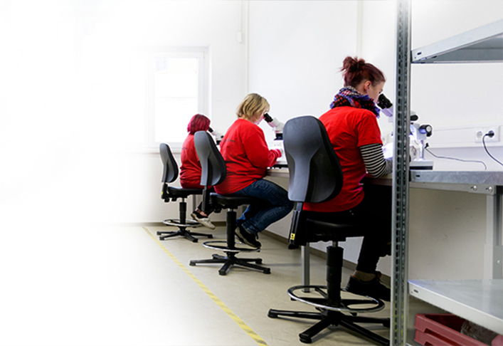 TSQS Leistungsspektrum